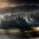 Illustration for article titled Forests, fog and light make these long-exposure photographs look like paintings